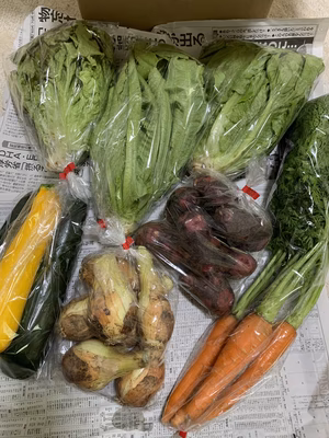 みんなの投稿の画像