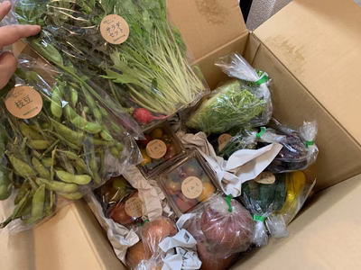 みんなの投稿の画像