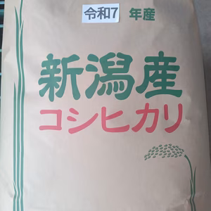 【希少です!】令和7年度新潟県長岡産新米従来コシヒカリ20kg玄米