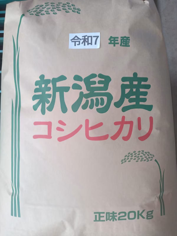 【希少です!】令和7年度新潟県長岡産新米従来コシヒカリ20kg玄米