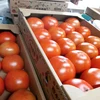 朱色に仕上がる大玉トマト。3kg。
