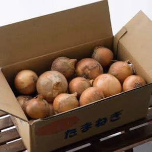 【自然栽培／食品ロス】淡路島産 人に優しい玉ねぎ