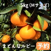 ※予約※【5㎏/M】特選品　まどんなルビー(愛媛果試28号）