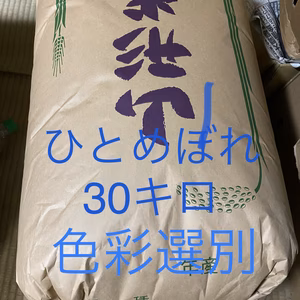 ラスト！一つ新米！山形県産令和7年ひとめぼれ玄米30キロ　中米