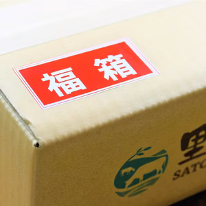 里山牛 訳あり福箱第一弾・第二弾セット 出会いの宝箱♪