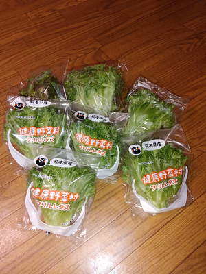 みんなの投稿の画像