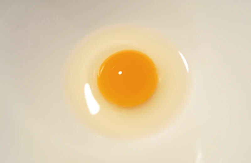 うずらの有精卵50個とお菓子セット