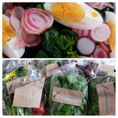 みんなの投稿の画像