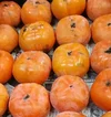 【訳あり】1２月【樹齢90年越古木の次郎柿】みえの安心食材認定　