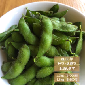 【期間限定】枝豆「盆茶豆」1.8KG 　農薬・肥料不使用