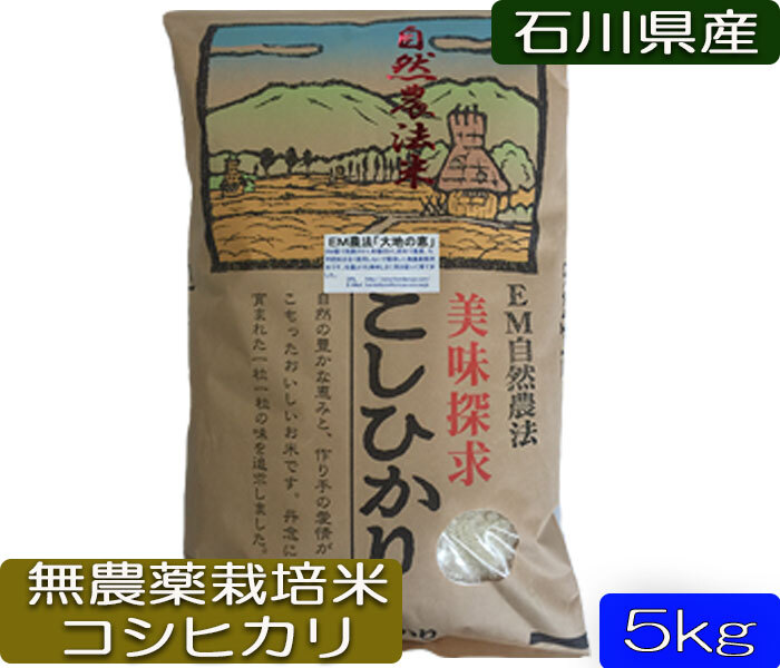 令和7年コシヒカリ　近江米　農薬不使用 令和七年コシヒカリ 近江米 農薬不使用 - メルカリ