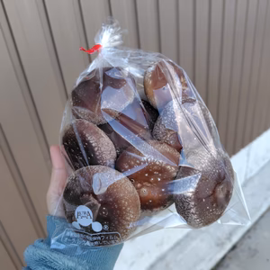 のとっこしいたけ　　　　　【朝採れ·新鮮】