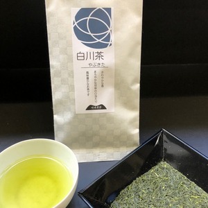 白川茶　やぶきた　80g