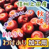 加工用【信州上田産りんご・秋映】約5.5kg