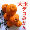 大玉デコみかん‼️甘さも酸味もサイズもBIG‼️ no4