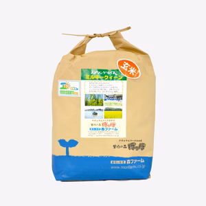 【令和5年産新米】スプリングライスミルキークイーン玄米5kg【低農薬米】