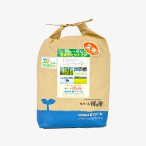 【令和5年産新米】スプリングライスミルキークイーン玄米5kg【低農薬米】