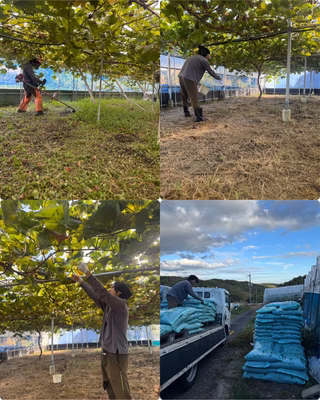 みんなの投稿の画像