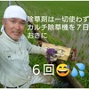 お米の旨味たっぷり自然栽培 ２年産【つや姫玄米】５kg