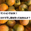 【入手困難！】干し柿・吊るし柿用渋柿「三社柿(さんじゃがき)」