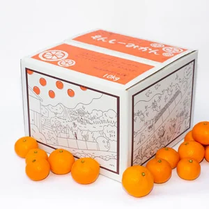 （傷あり）ネーブルオレンジ【5kgサイズ】