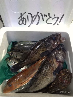 みんなの投稿の画像