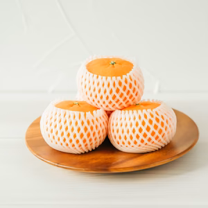 2月発送【特選】甘平　贈答品