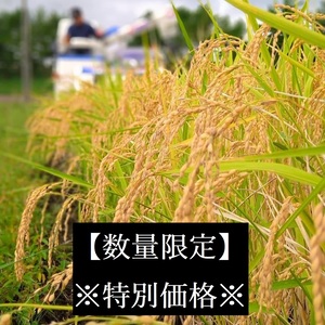 【数量限定】特別価格　宮城県産　一等米【10kg】