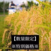【数量限定】特別価格　宮城県産　一等米【20kg】