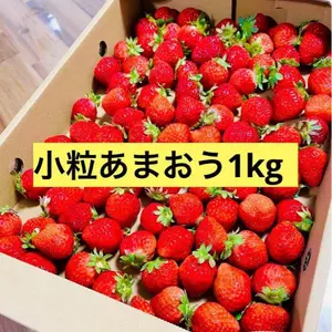 朝摘み】急速冷凍 あまおう【カット】約1kg 新鮮！苺(イチゴ)の王様