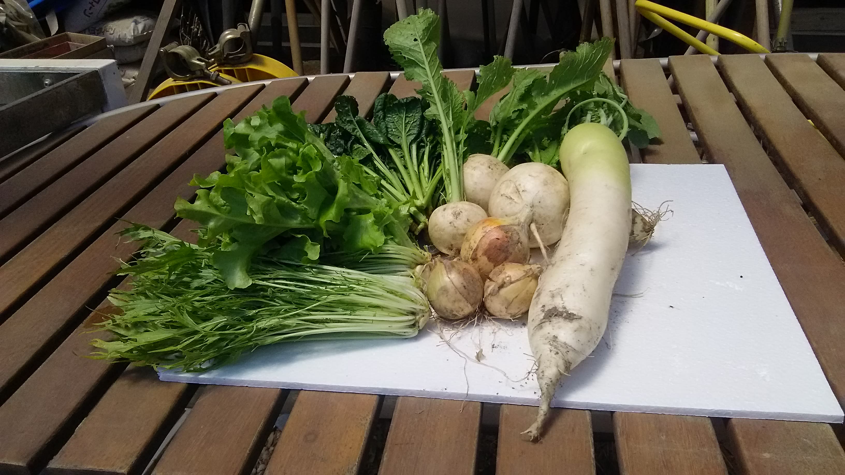 特別価格！採れたて農薬不使用野菜＊小カブ等3種類の詰め合せ＊野菜