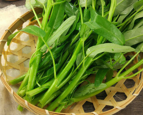 空芯菜の通販・お取り寄せ商品｜野菜｜ポケットマルシェ｜産地直送で旬