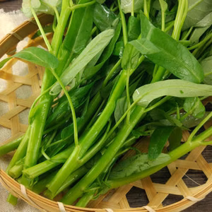 ＊期間限定＊　夏が旬！空芯菜　【3kg】