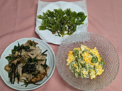 みんなの投稿の画像