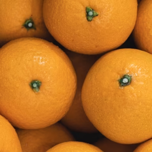 【ぷるあま果肉と濃厚果汁】清見【家庭用】（清見タンゴール、清見オレンジ）