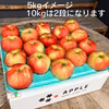 酸味系希少りんご「彩香」農薬50%減＋化学肥料不使用 特別栽培認証取得 良品