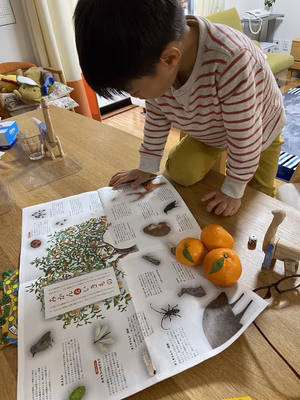 みんなの投稿の画像