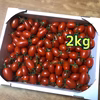 たっぷり2kg 完熟アイコトマト
