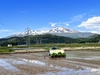 新米　お米食べ比べ３品種　【氷河米】特別栽培米　山形県庄内産