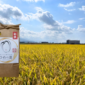✨令和７年産新米✨ﾌﾟﾚﾐｱﾑｸｵﾘﾃｨ認定5㎏(玄米)｢ひめの凜｣一等米