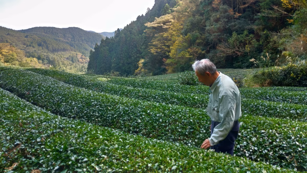 北野製茶園