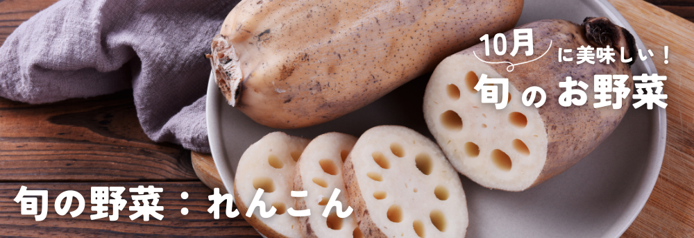 10月の旬野菜 れんこん