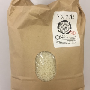 2019年産　自然栽培　ハツシモ 5キロ　玄米【さっぱり冷めても美味しい】