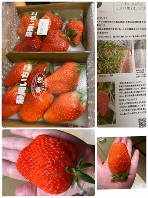 みんなの投稿の画像