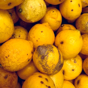 【加工用B級品】大崎上島産レモン