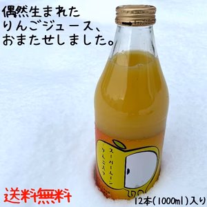 偶然生まれたりんごジュース・1000ml×12本入り