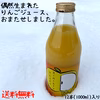 偶然生まれたりんごジュース・1000ml×12本入り