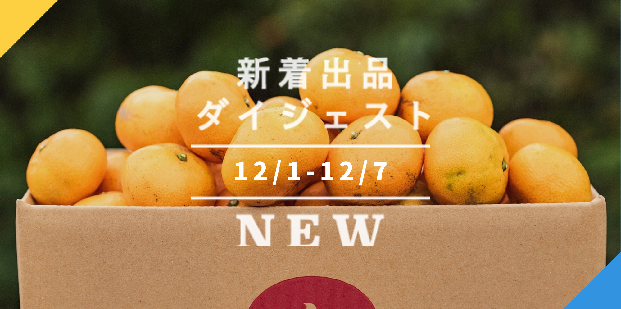 バックナンバー]どう選ぶ？年末みかん🍊冬至のあったか野菜セット､激レア農法のお餅も気になるぞ…！｜今週のおすすめ新着出品[2021年12月