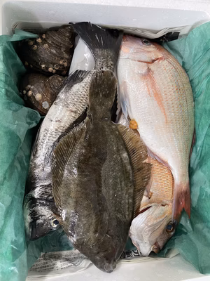 みんなの投稿の画像