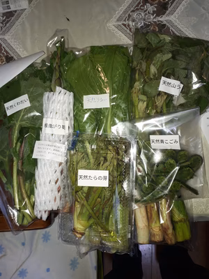 みんなの投稿の画像